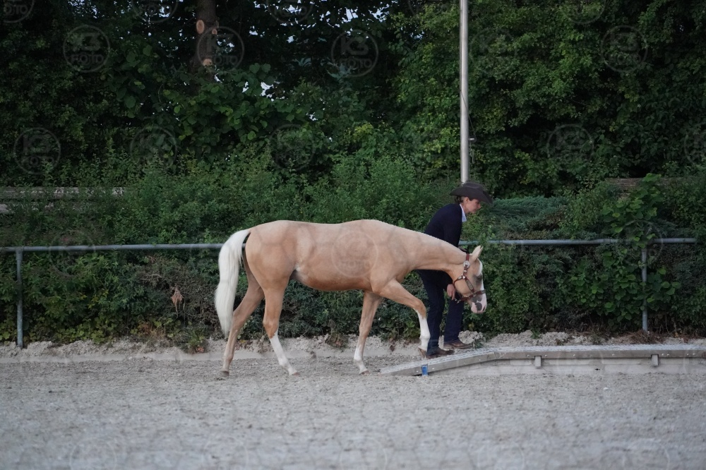 s_A9_05468.jpg
